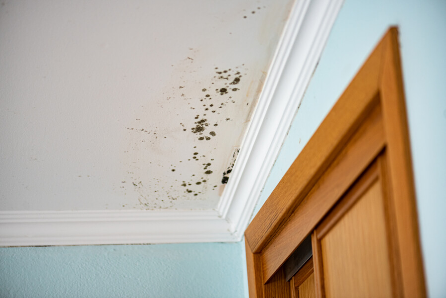Détail de moisissures noires et taches d’humidité sur un mur et un plafond dans un logement en location. Ces traces de champignons et de dégradation des peintures sont souvent causées par des problèmes d’infiltration d’eau, une ventilation insuffisante ou un défaut d’isolation. Cette image illustre un cas typique de dégradation locative nécessitant une intervention rapide pour éviter des risques sanitaires et des litiges avec le propriétaire. Agir face à la moisissure en tant que locataire implique de signaler le problème par écrit et de demander des réparations conformément aux obligations du bailleur.